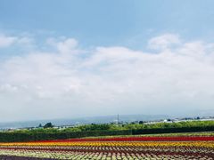 -富田农场