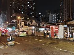 -油麻地果栏