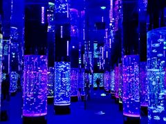 -成都浩海立方海洋公园