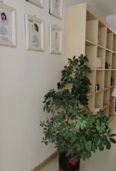 -Dr.林醫生产后修复·配方产康店(南京大厂店)