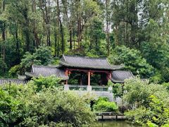 -广州神农草堂中医药博物馆
