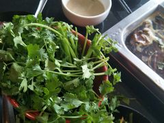 -陈阿婆重庆绿色鱼火锅