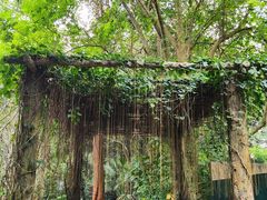 -海南热带野生动植物园