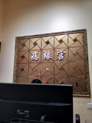 -痣缘宫