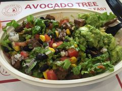 -油梨树 AVOCADO TREE(亮马桥店)