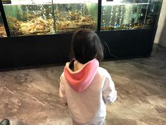 -蟹之国·精品蟹料理(极地店)