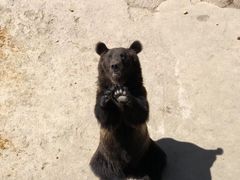 -哈尔滨北方森林动物园