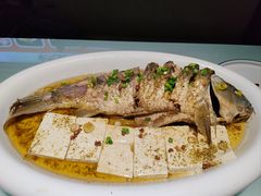 -黄河佬.油泼黄河鲤鱼.地道陕菜(百米大道店)