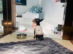 -上海滩餐厅(BFC外滩金融中心店)