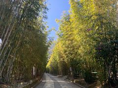 -蝴蝶泉公园