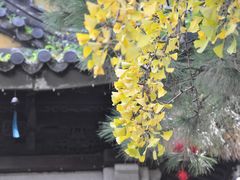 -无锡惠山寺