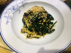 小蘑菇调菠菜-西北45°(世茂广场店)