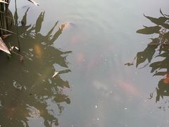 -南山风景名胜区