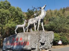 -长沙黑麋峰国家森林公园
