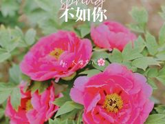 -国家植物园