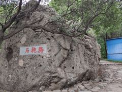 -阳台山自然风景区