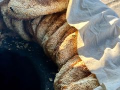 -迎春桥老炉烧饼(碧霞路店)