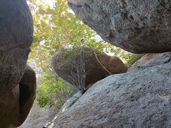 -鲁山国家森林公园