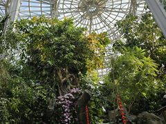 -郑州植物园