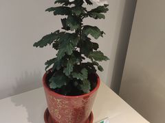 -汇龙潭