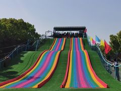 -上海海湾国家森林公园