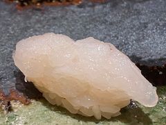 -银座岩