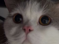 -芭比堂动物医院广州顽皮分院