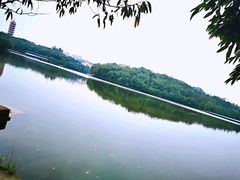 -三水森林公园