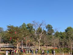 -香山湖公园