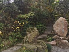 -江心屿景区