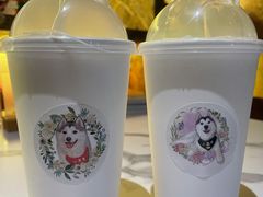 -Husky Go! 哈士奇体验馆·宠物咖啡厅狗咖