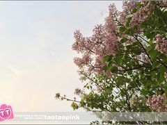 -哈尔滨师范大学(江南校区)