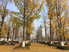 -百林公园-两江幸福广场