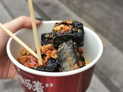 黑色经典臭豆腐-黑色经典臭豆腐·湖南特产(坡子街店)