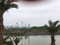 -枫香湖儿童公园