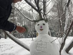 -迎泽公园