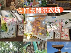 -HERRE·FARM 赫尔露营农场·团建聚会包场