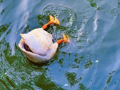 -苏州碑刻博物馆