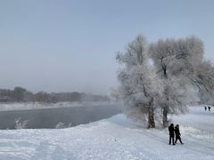 -雾凇岛