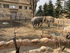 -郑州银基国际旅游度假区