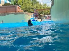 -上海玛雅海滩水公园