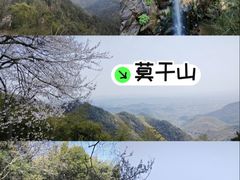 -莫干山风景区
