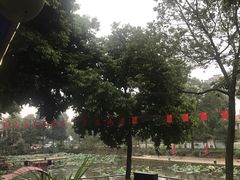 -蜀宴新村·柴火鸡(柏水店)