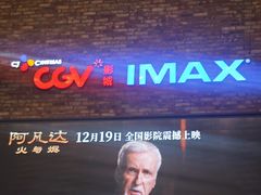 -CGV影城(金银潭激光IMAX店)