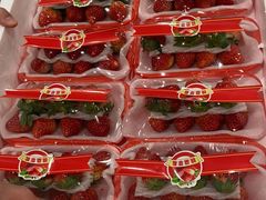 -西郊国际农产品交易中心