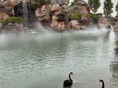 -静之湖度假区