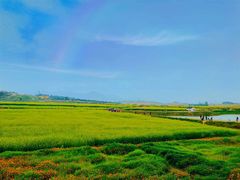 -光明小镇欢乐田园
