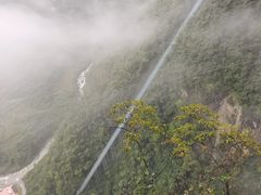 -鹿院坪生态旅游景区