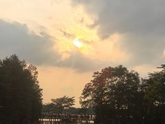 -海珠湖公园