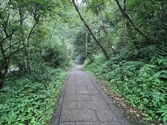 -西岭雪山大飞水景区